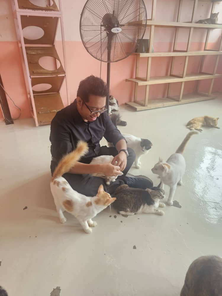 Charity Event at Shelter for Strays