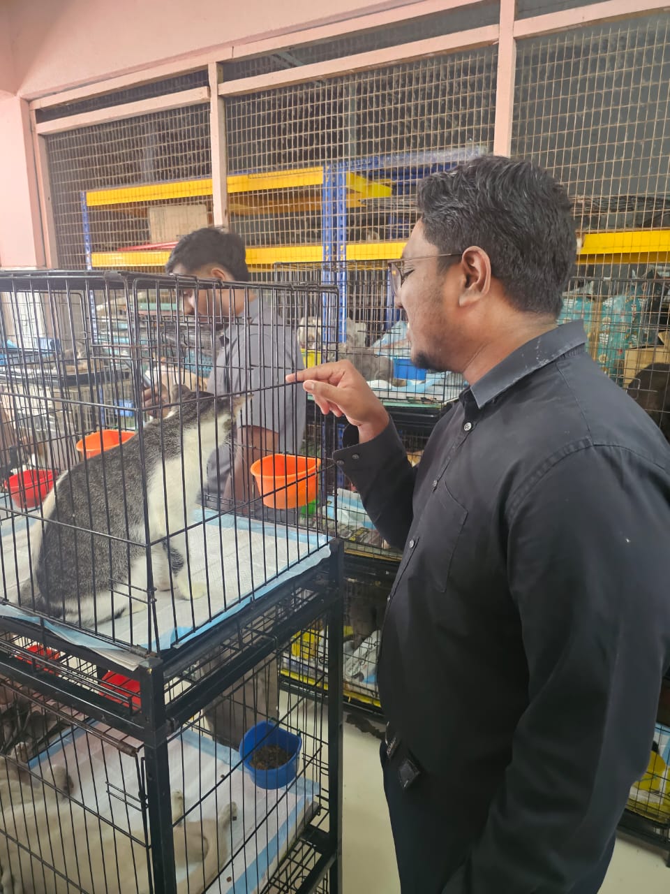 Charity Event at Shelter for Strays