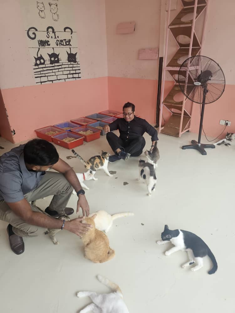 Charity Event at Shelter for Strays