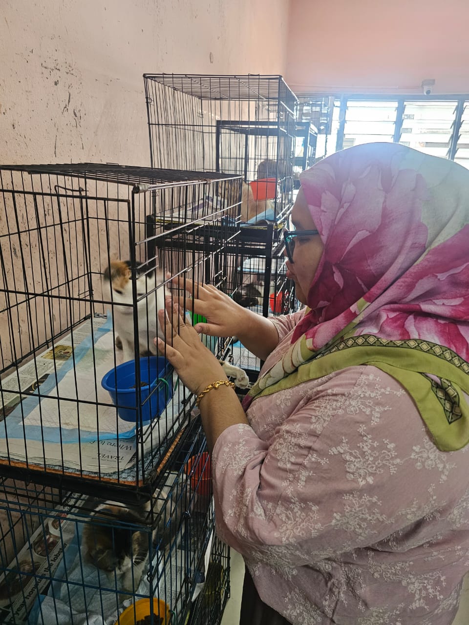 Charity Event at Shelter for Strays