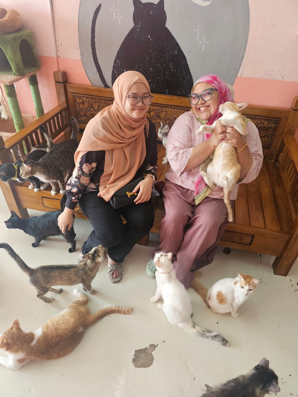 Charity Event at Shelter for Strays