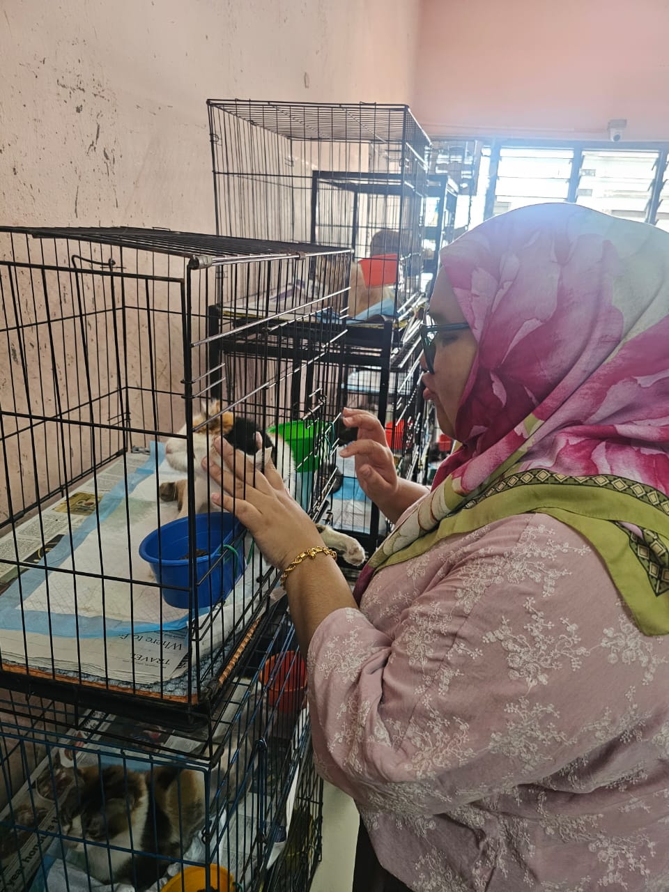 Charity Event at Shelter for Strays