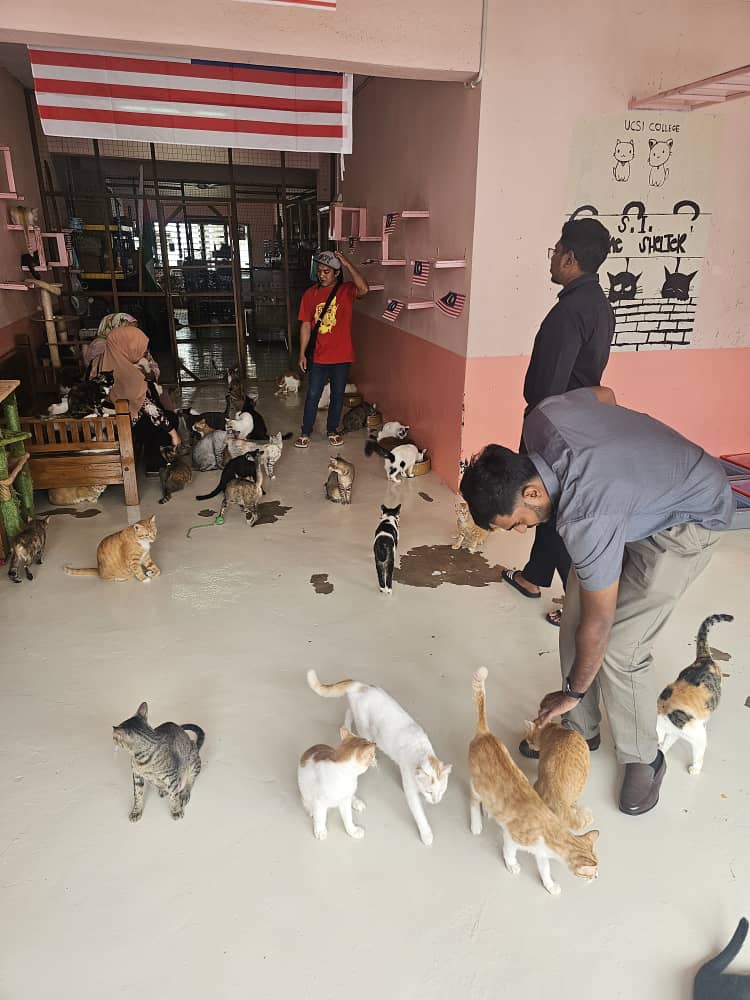 Charity Event at Shelter for Strays
