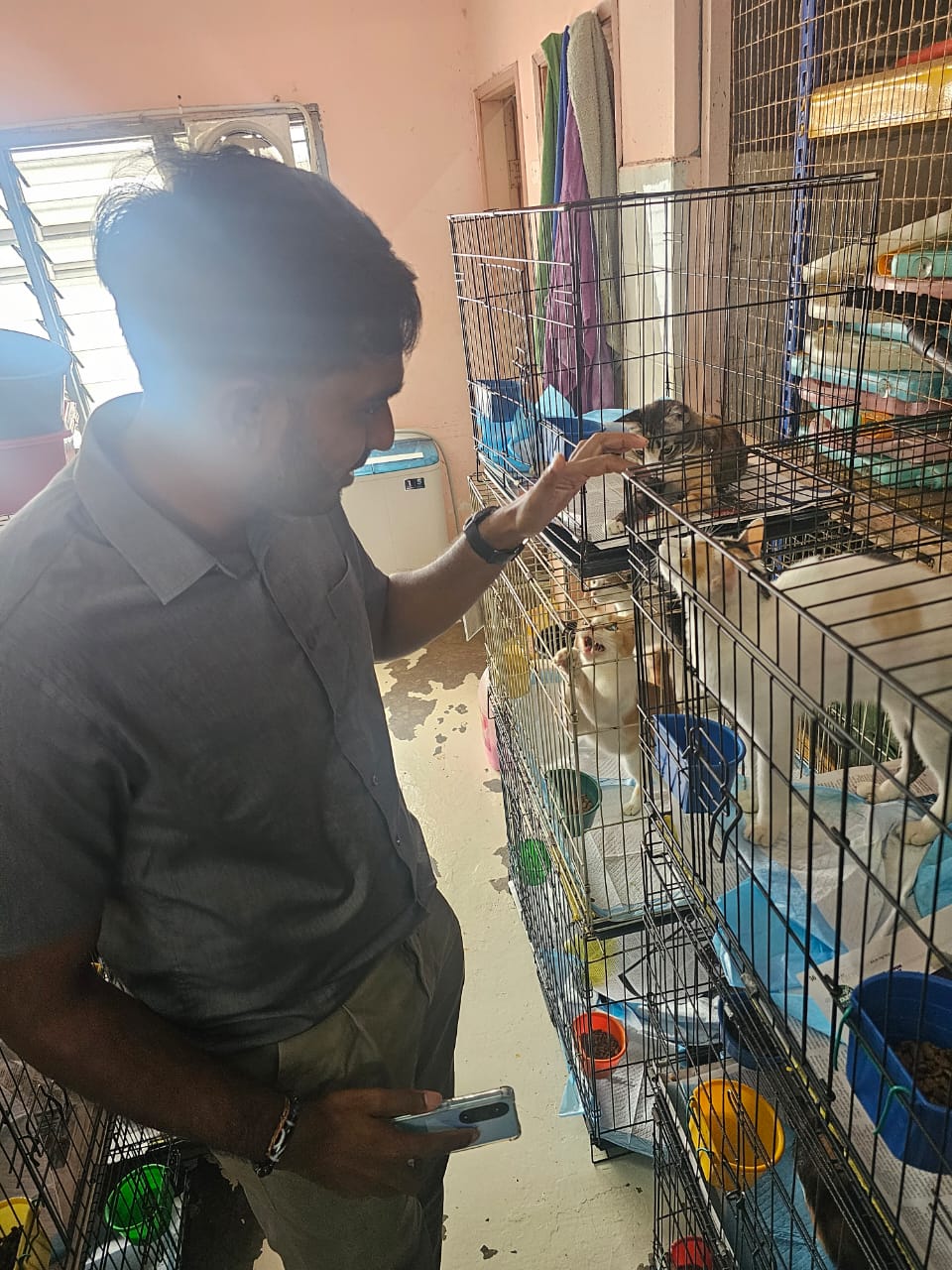 Charity Event at Shelter for Strays