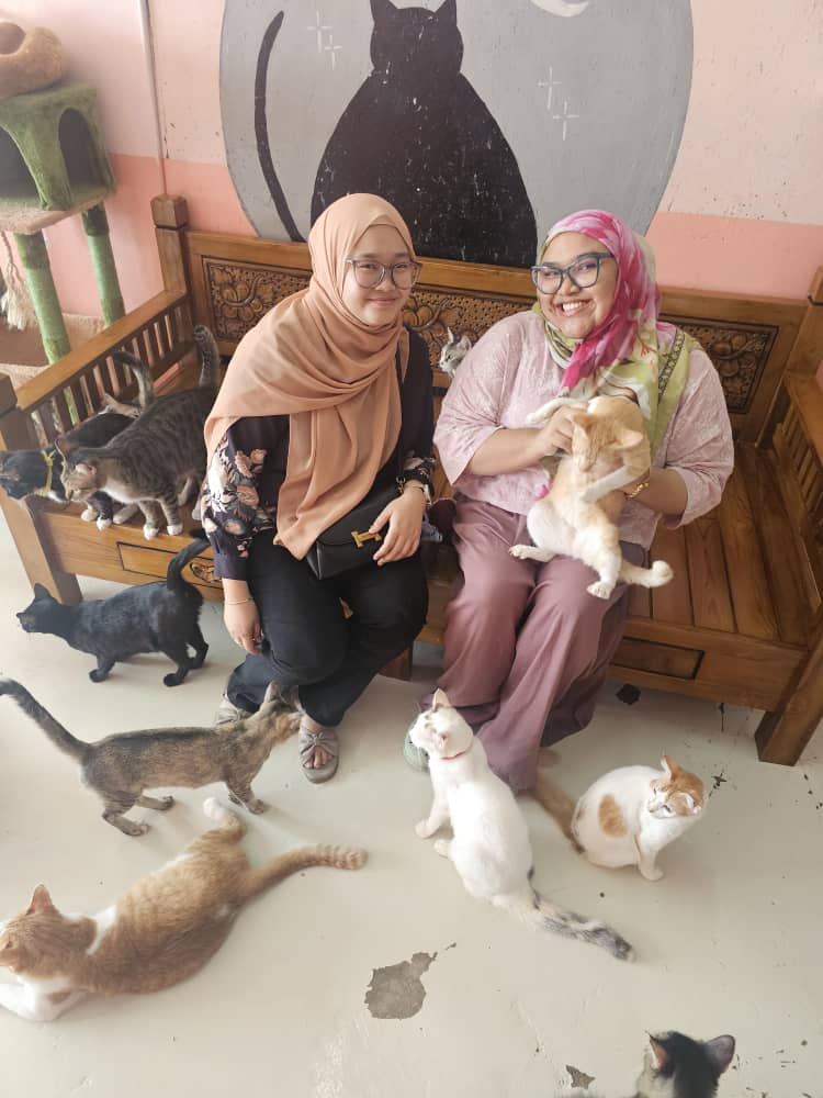 Charity Event at Shelter for Strays