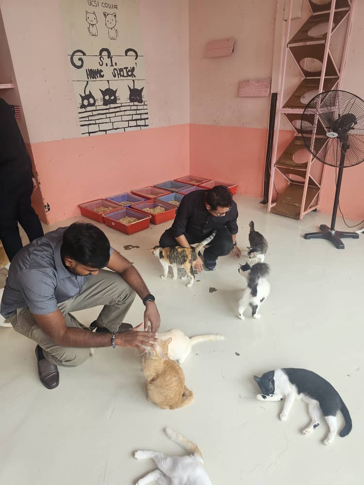 Charity Event at Shelter for Strays