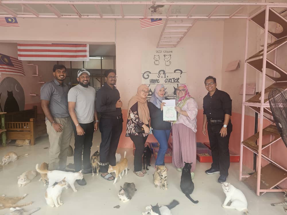 Charity Event at Shelter for Strays