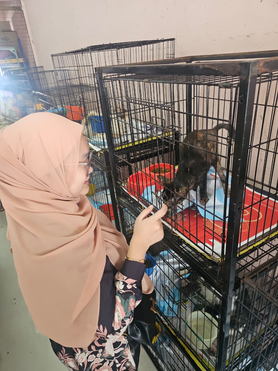 Charity Event at Shelter for Strays