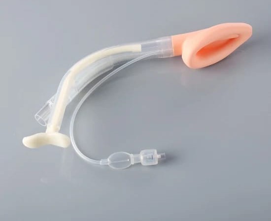 LMA with gastric port